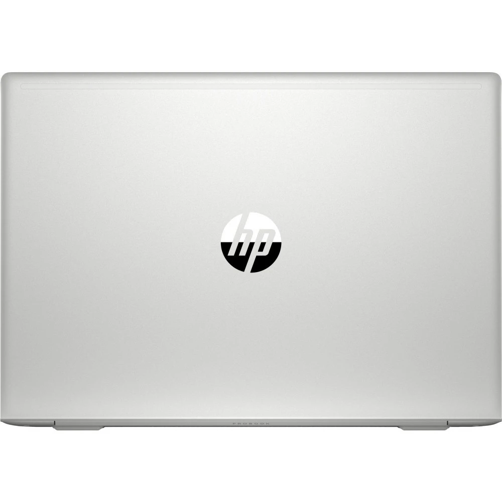 Ноутбук HP ProBook 455 G7 1F3M6EA_ПУ 15.6 ", HD 1366x768 (16:9), AMD, Ryzen 5, 8 Гб, 256 ГБ, AMD Radeon Vega