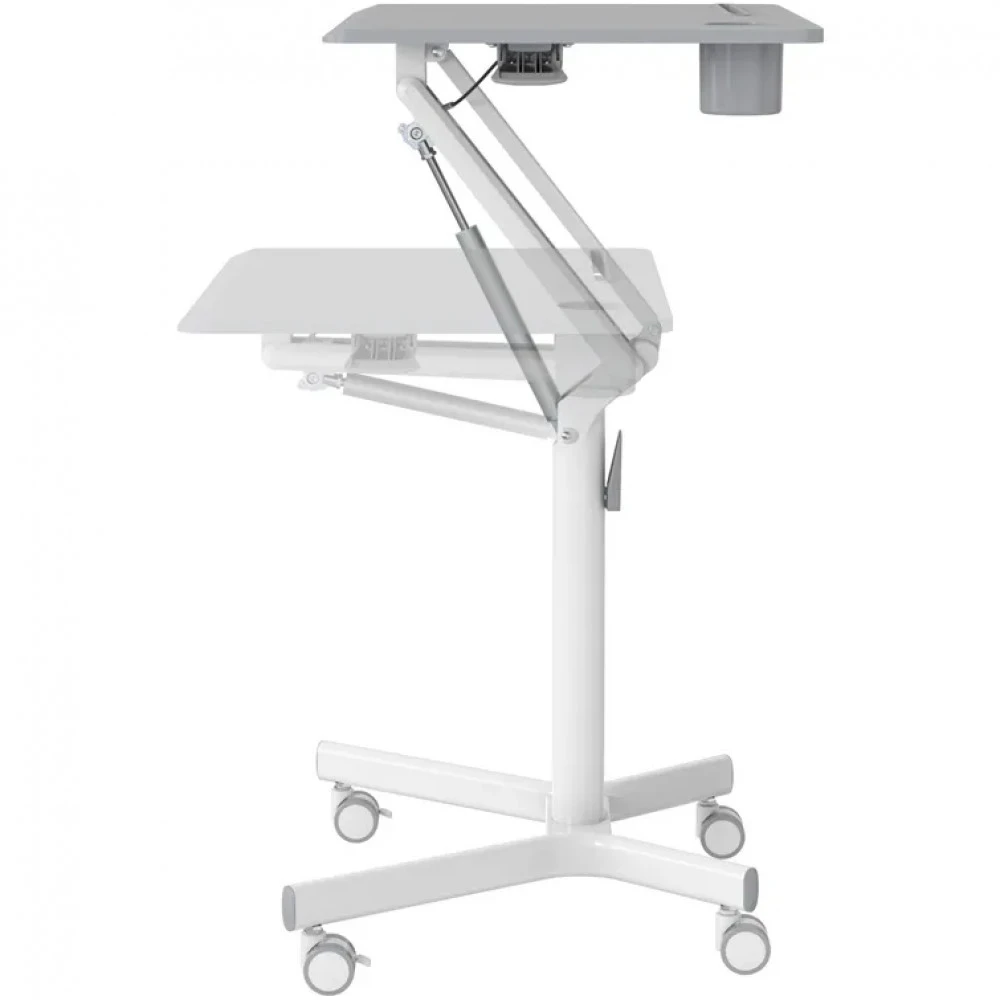 Cactus CS-FDS101WGY