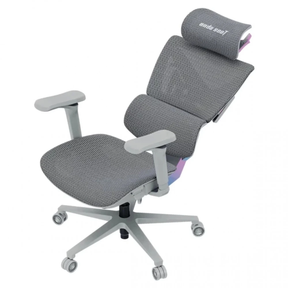 Компьютерное кресло AndaSeat X-Air Pro XL Mesh Gray Twilight AD-WY-01-GGSP