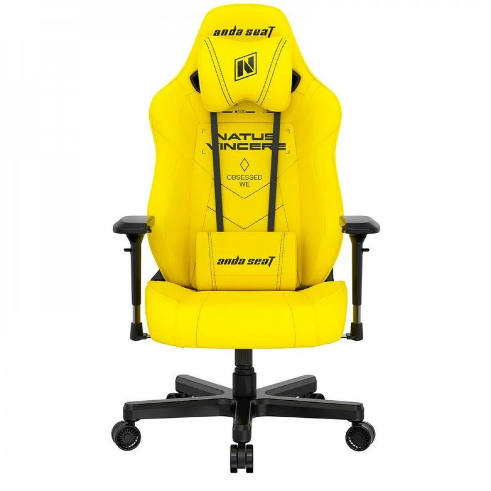 Компьютерное кресло AndaSeat Navi Edition AD19-05-Y-PV