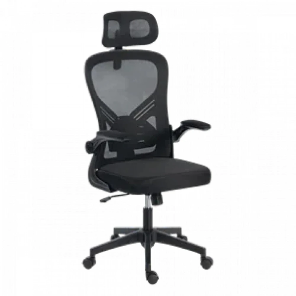 Компьютерное кресло Eco Estelar CH02-11