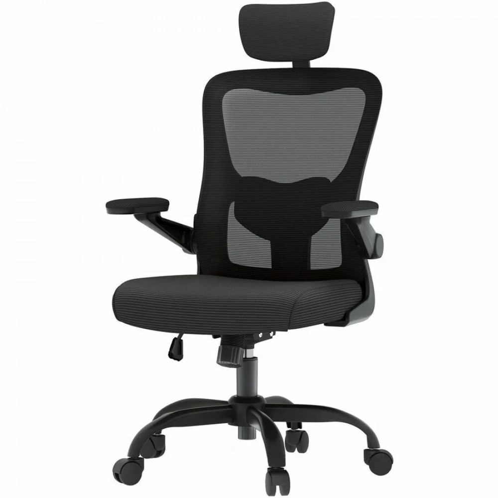 Компьютерное кресло FlexiSpot OC1-B