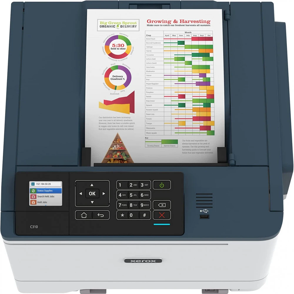 Принтер Xerox C310DNI А4, Лазерный, Цветная