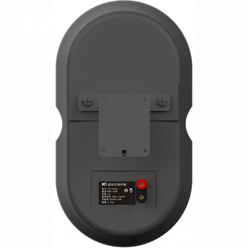 Громкоговоритель ITC TS-605YB