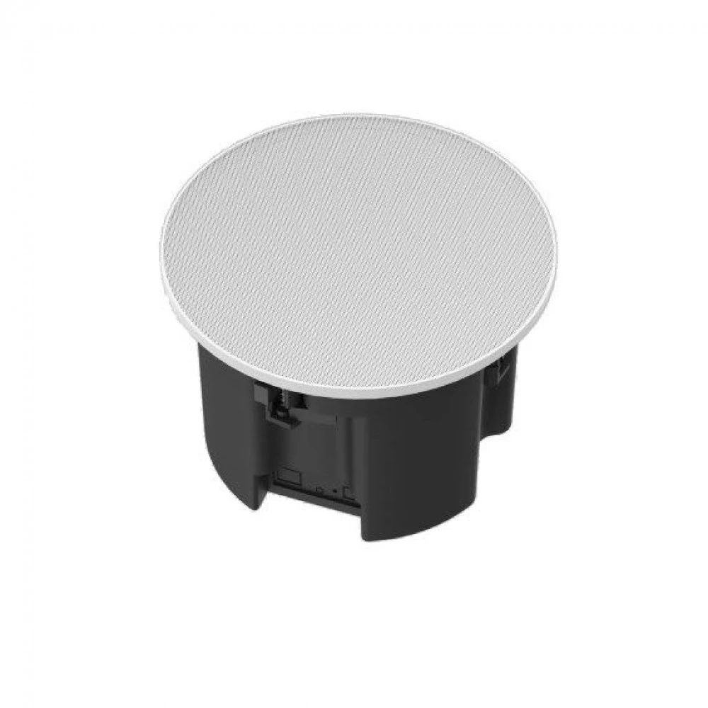 Громкоговоритель Nearity AW-ASP100