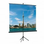 Экран Lumien LEV-100109