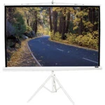 Проекционный экран Elite Screens Portable Tripod Screen T99NWS1