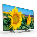 Телевизор Sony KD55XF8096BR2, KD55XF8096BR