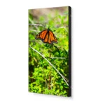 LED / LCD панель NEC Ultra-Narrow Bezel Professional-Grade Display UN462VA (46 ")