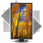 Монитор NEC EA224WMi EA224WMi-BK (21.5 ", IPS, Full HD 1920x1080 (16:9), 60 Гц)