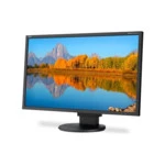 Монитор NEC EA223WM-BK (22 ", TN, WSXGA+ 1680x1050 (8:5), 60 Гц)