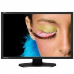 Монитор NEC SVRef.242 (24.1 ", IPS, Full HD+ 1920x1200 (16:10), 85 Гц)