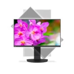 Монитор NEC EA241F-BK 60004786 (23.8 ", IPS, Full HD 1920x1080 (16:9), 75 Гц)