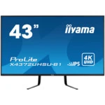 Монитор IIYAMA ProLite X4372UHSU-B1 (42.5 ", IPS, 4K UHD 3840x2160 (16:9), 60 Гц)