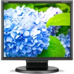 Монитор NEC MultiSync E172M-BK (17 ", IPS, SXGA 1280x1024 (5:4), 60 Гц)