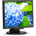 Монитор NEC MultiSync E172M-BK (17 ", IPS, SXGA 1280x1024 (5:4), 60 Гц)
