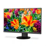 Монитор NEC E243F E243F-BK (23.8 ", IPS, Full HD 1920x1080 (16:9), 75 Гц)