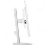 Монитор NEC E243F (23.8 ", IPS, Full HD 1920x1080 (16:9), 60 Гц)