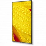 LED / LCD панель NEC ME431 (43 ")