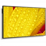 LED / LCD панель NEC ME431 (43 ")