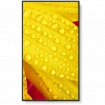 LED / LCD панель NEC ME431 (43 ")