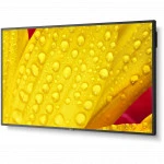LED / LCD панель NEC ME431 (43 ")
