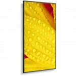 LED / LCD панель NEC ME431 (43 ")