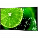 LED / LCD панель NEC MultiSync E558 (55 ")