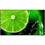 LED / LCD панель NEC MultiSync E558 (55 ")