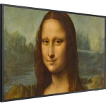 Телевизор Samsung QE65LS03BAUXCE (65 ", Smart TV, Черный)