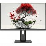 Монитор RDW Computers F08B3100V2A1A 2401K/F08B3100V2A1A (23.8 ", IPS, Full HD 1920x1080 (16:9), 100 Гц)