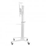 Опция к телевизору Digis DSM-P7106C