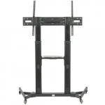 Опция к телевизору Digis DSM-P1060CL