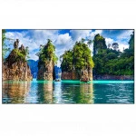 LED / LCD панель Vestel WW55B-2H (55 ")