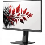 Монитор RDW Computers RDW2701K 2701K/F00B0120V2A1 27 ", IPS, Full HD 1920x1080 (16:9), 120 Гц