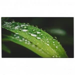 LED / LCD панель Dahua DHI-LS550UEH-UG 55 "