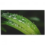 LED / LCD панель Dahua DHI-LS550UDH-UG (55 ")