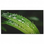 LED / LCD панель Dahua DHI-LS490UCM-UF 49 "