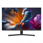 Монитор Irbis MIR VIEW R27QIDR123_MIR 27 ", IPS, Quad HD 2560x1440 (16:9), 100 Гц