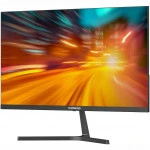 Монитор SunWind SM-27FI221 SM27SB01 (27 ", IPS, Full HD 1920x1080 (16:9), 100 Гц)
