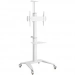 Опция к телевизору Brateck TTV12-46TW