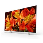 Телевизор Sony KD65XF8596BR2