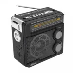 Портативная колонка Ritmix RPR-202