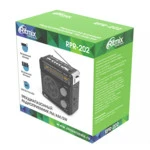 Портативная колонка Ritmix RPR-202