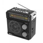 Портативная колонка Ritmix RPR-202