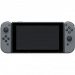 Игровая приставка Nintendo Switch Gray 045496452612