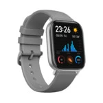 Xiaomi Amazfit GTS A1914 Lava Grey A1914 LG