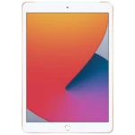 Планшет Apple 10.2-inch iPad MYMK2RU/A