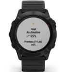 Garmin Fenix 6X Pro Black 1298242