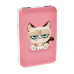 Внешний аккумулятор (Power Bank) Ritmix RPB-10007 Grumpy Cat RPB-10007-Grumpy-Cat (10000 мАч, Розовый)
